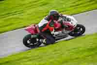 Middle Group Red Bikes